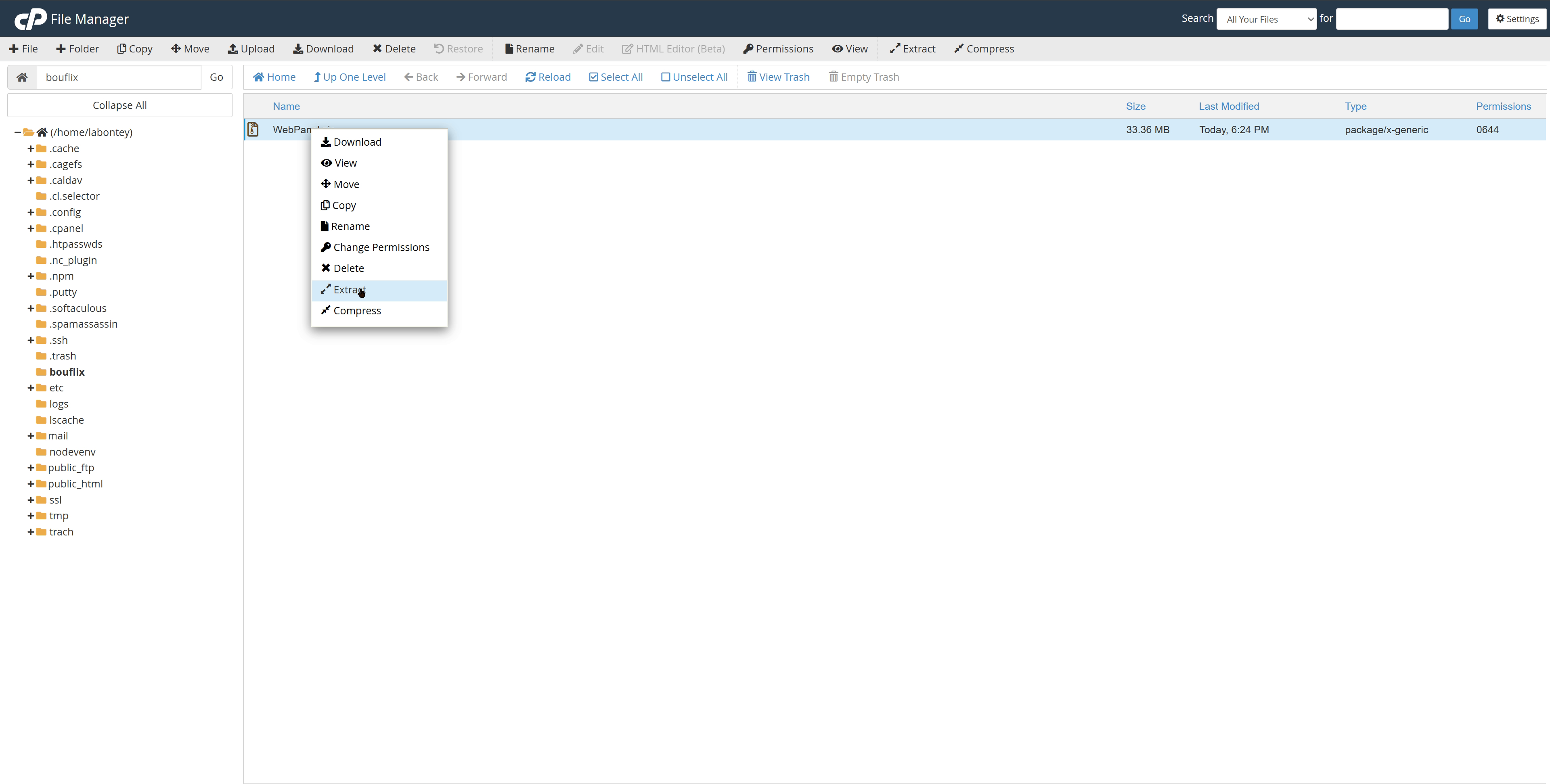 Extract WebPanel ZIP